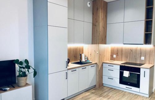 Radom Apartment | ApartamentySnu, Struga Tower Deep Purple