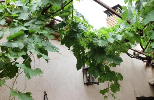 Layos Apartment | Apartametos rurales la Higuera de José