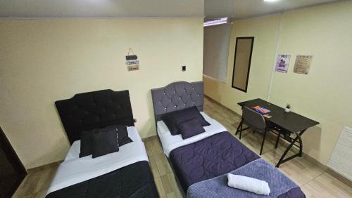 Campin Bed & Breakfast | Apartasuite Movistar Campin