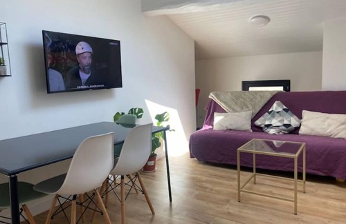 Pech-David Apartment | Apartement Lumineux à Toulouse