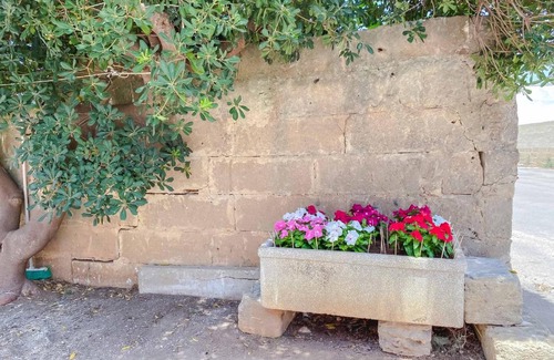 Torre San Giovanni Bed & Breakfast | Aparthotel Cortellenica