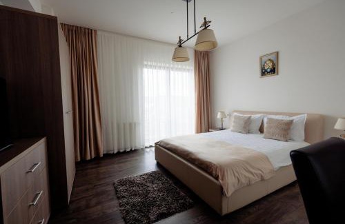 Sighetu Marmatiei Apartment | Aparthotel Punct pe i