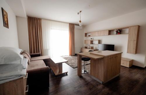 Sighetu Marmatiei Apartment | Aparthotel Punct pe i