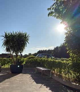 Neuhaus-Schierschnitz Apartment | Aparthotel Rotheul