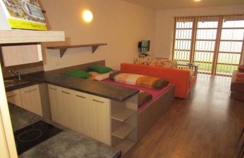 Ricky v Orlickych horach Apartment | Apartmán Říčky v Orlických Horách