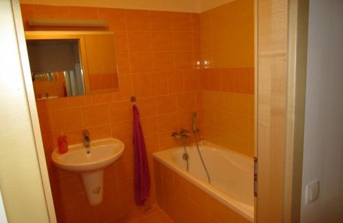 Ricky v Orlickych horach Apartment | Apartmán Říčky v Orlických Horách
