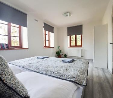 Novy Bor Apartment | Apartmán Špálovka