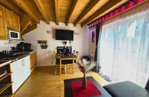Liptovsky Mikulas Apartment | Apartmán 339 - Tatralandia