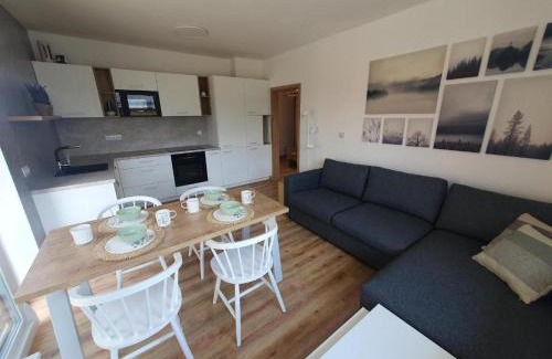 Cerna V Posumavi Apartment | Apartmán AMALI Deluxe