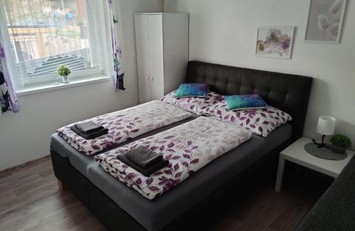 Vrchlabi Apartment | Apartmán Anamo