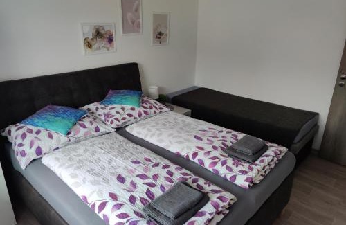 Vrchlabi Apartment | Apartmán Anamo