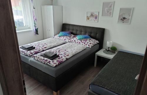 Vrchlabi Apartment | Apartmán Anamo