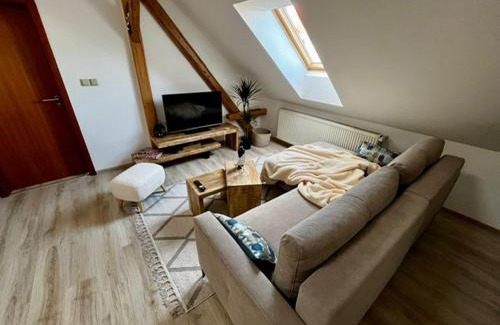 Ostrava Apartment | Apartmán Anežka, u Ostravar Arény