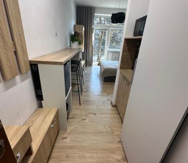 Banska Bystrica Apartment | Apartmán BB-Centrum1