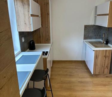 Banska Bystrica Apartment | Apartmán BB-centrum3