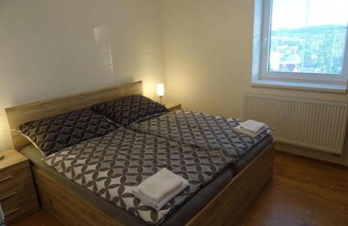 Ceska Kamenice Apartment | Apartmán Borůvka
