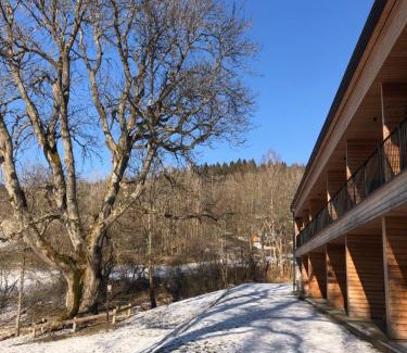 Zelezna Ruda Apartment | Apartmán Borůvka