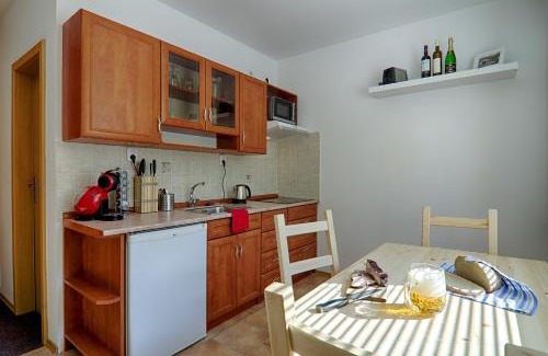 Pec pod Snezkou Apartment | Apartmán Borůvka