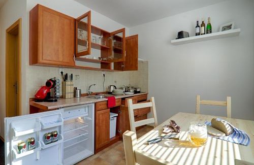 Pec pod Snezkou Apartment | Apartmán Borůvka