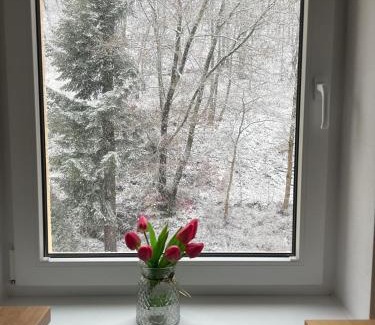 Jachymov Apartment | Apartmán Claudia - Rezidence K Lanovce