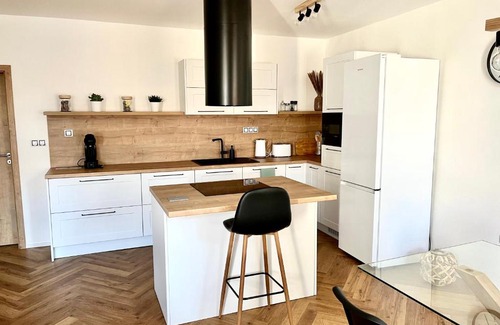 Nove Mesto nad Metuji Apartment | Apartmán Elen