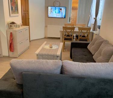Bela pod Pradedem Apartment | Apartmán Filipovice s letní terasou
