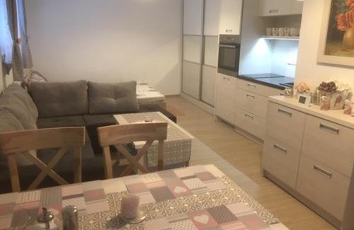 Bela pod Pradedem Apartment | Apartmán Filipovice s letní terasou