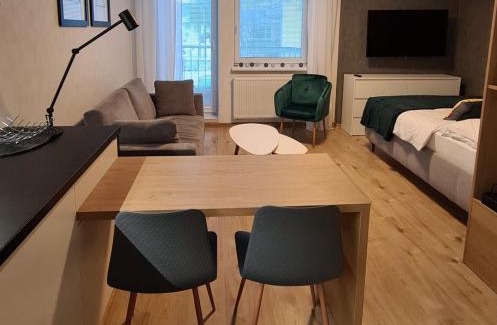 Rajecke Teplice Apartment | Apartmán Hestia 5