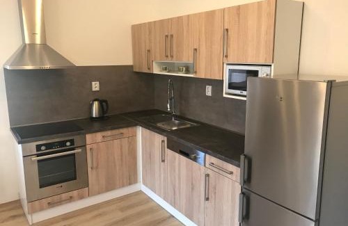 Horni Lipova Apartment | Apartmán Horní Lipová