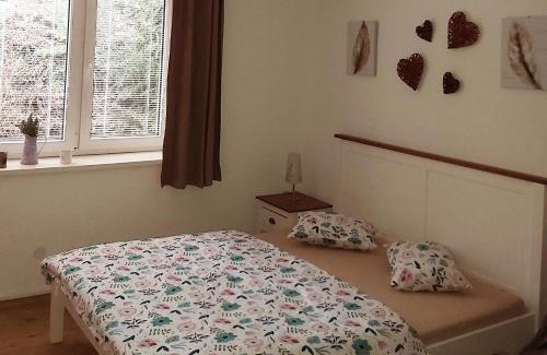 Lipno nad Vltavou Apartment | Apartmán JaFi Lipno nad Vltavou