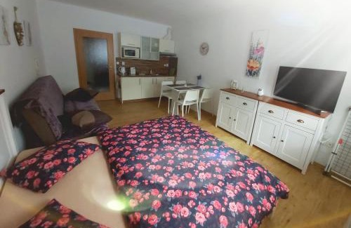 Lipno nad Vltavou Apartment | Apartmán JaFi Lipno nad Vltavou
