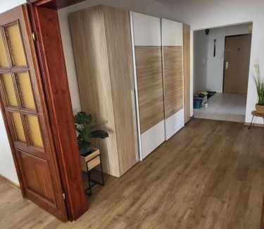 Horni Plana Apartment | Apartmán Juli