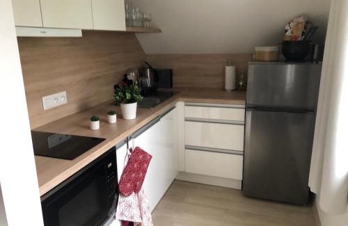 Horni Blatna Apartment | Apartmán Krušné hory - Erzgebirge