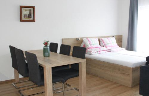 Frymburk Apartment | Apartmán Lipno G11