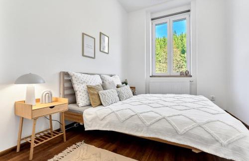 Jachymov Apartment | Apartmán Miládka