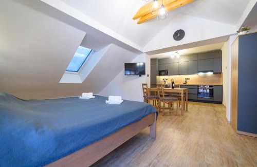 Karlovy Dvory Apartment | Apartmán na Hůrce