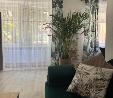 Zilina Apartment | Apartmán OLLY