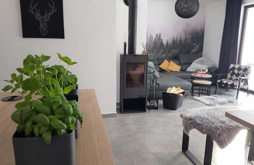Nove Chalupy Apartment | Apartmán Pod Hochfichtem
