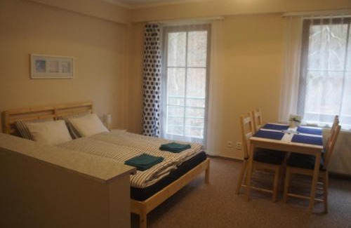Jachymov Apartment | Apartmán pod Klínovcem