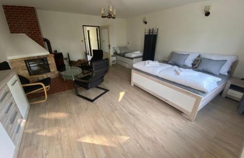 Starovice House | Apartmán Pod Mandloní