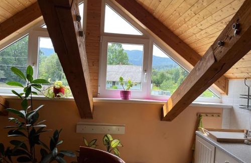 Bela pod Pradedem Apartment | Apartmán Relax