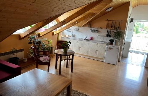 Bela pod Pradedem Apartment | Apartmán Relax