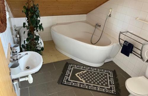 Bela pod Pradedem Apartment | Apartmán Relax