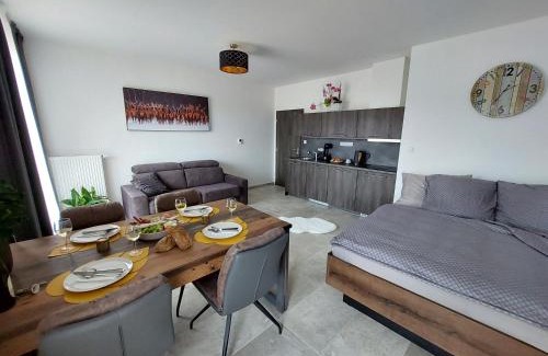 Zelezna Ruda Apartment | Apartmán Rezidence Javor Železná Ruda