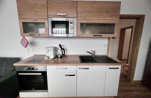 Cerna V Posumavi Apartment | Apartmán Roda2 Malé Lipno