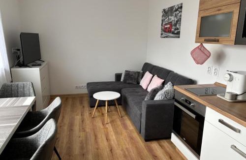 Cerna V Posumavi Apartment | Apartmán Roda2 Malé Lipno