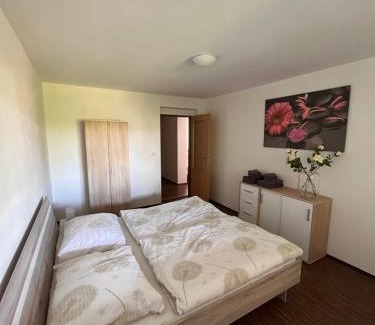 Chodova Plana Apartment | Apartmán Sadová 430