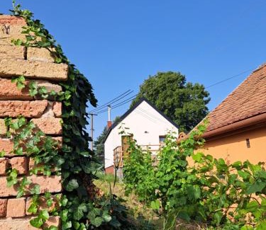Jevisovka House | Apartmán se saunou a vinný sklep Živjeli