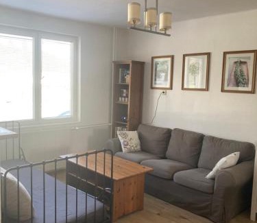 Protivin Apartment | Apartmán se zahradou v Protivíně č.2