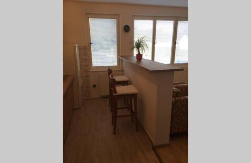 Protivin Apartment | Apartmán se zahradou v Protivíně č.2